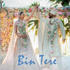 Bin Tere Tanishk Bagchi Bin Tere Tanishk Bagchi